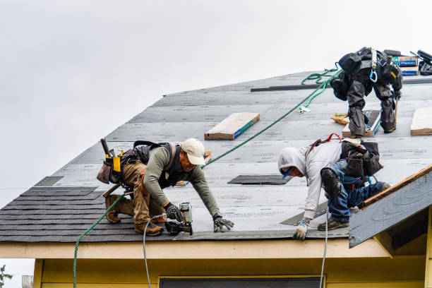 Professional Gutter Installation technician working in Linkwood, MD