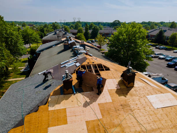Trusted Flat Roof Repair service in Linkwood, MD - Brentwood Metal Roofing